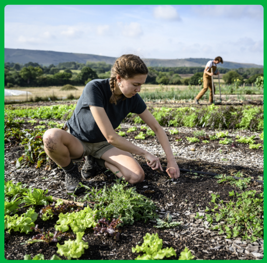 Girl working in a field
